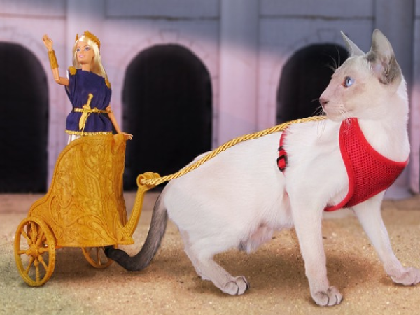 Barbie Rides To Battle on 3D-Printed, Cat-Pulled Chariot