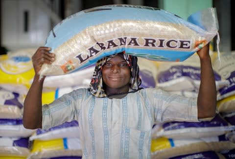 A worker at Labana rice mills, Kebbi state, Nigeria - Credit: Thomas Imo