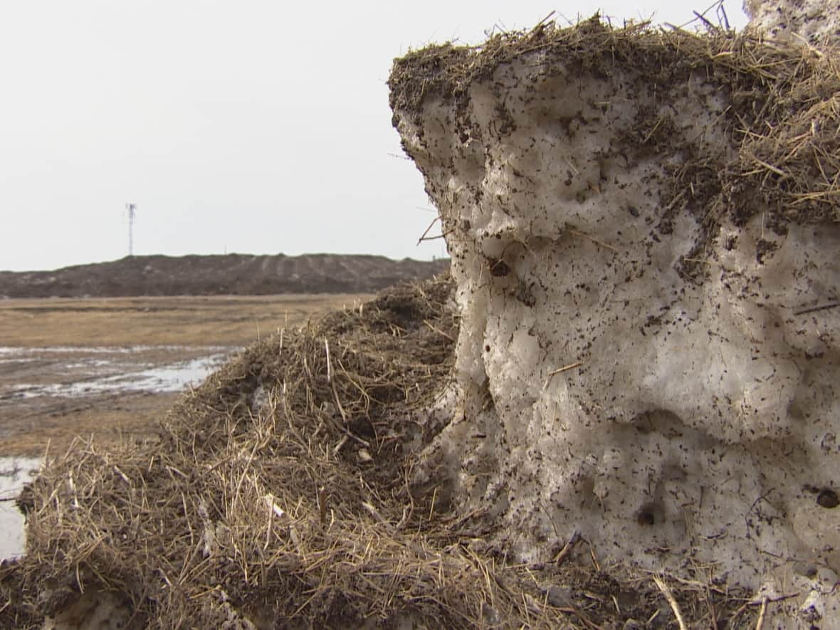 Snow melting at Regina's snow storage facility can be filled with all sorts of garbage and dirt, but what's packed inside the snow can be even more harmful. (Kirk Fraser/CBC - image credit)