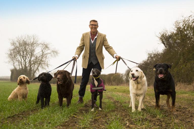 Dogs Behaving (Very) Badly review: Graeme Hall is a sweet-natured presenter without any bite