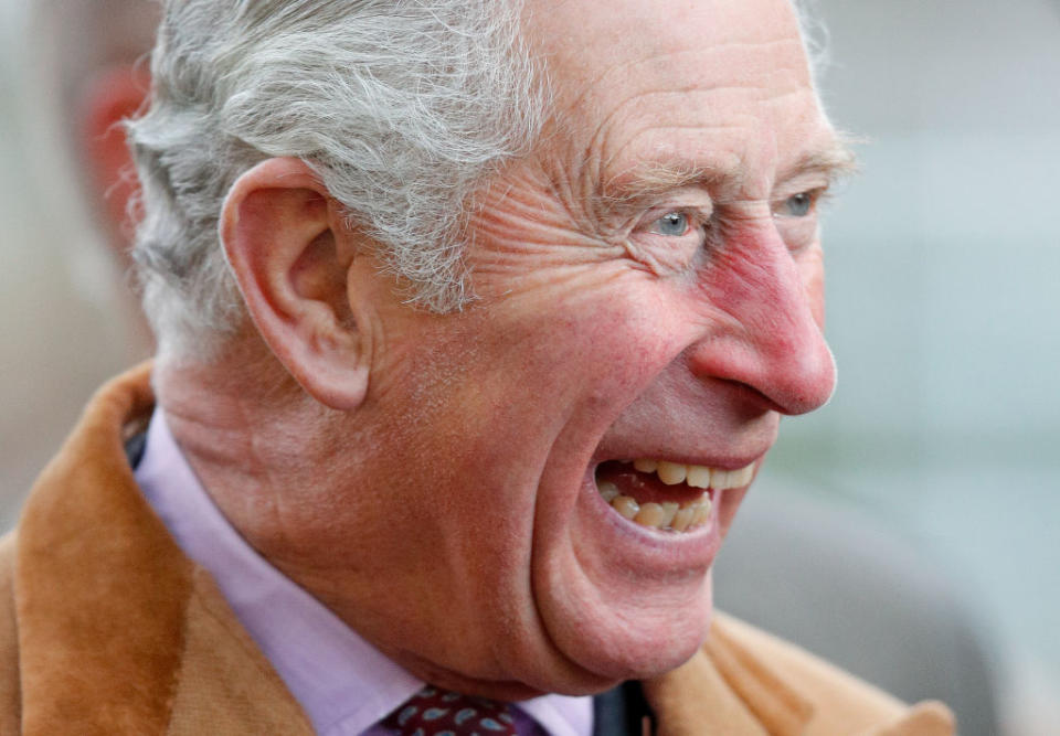 8. Prince Charles