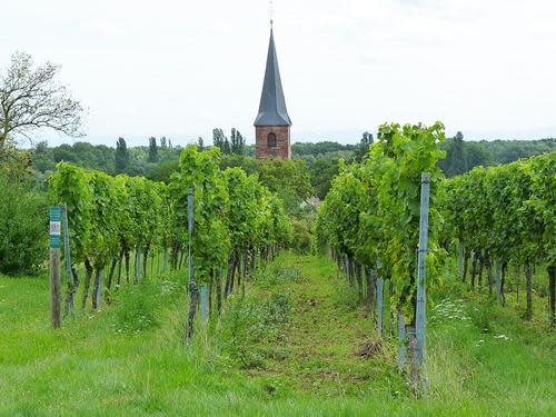 german wine route