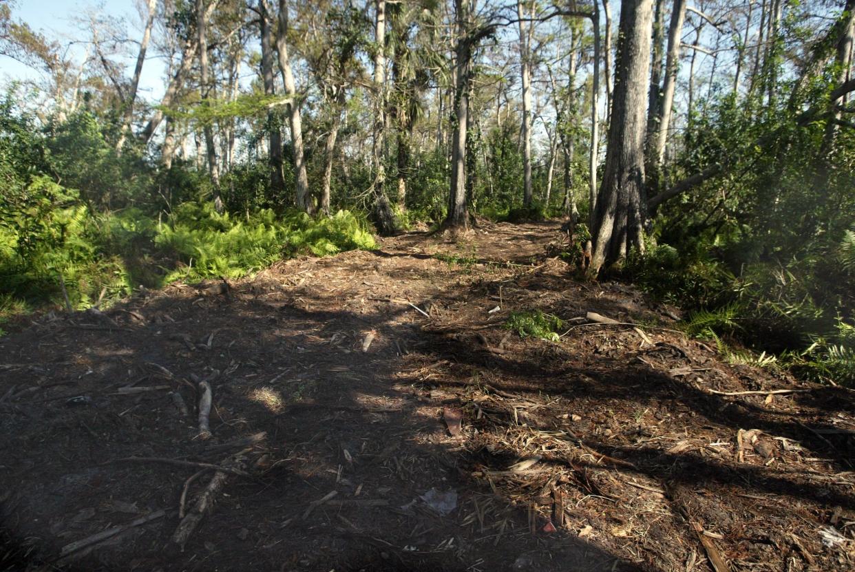 A wide trail in Big Blue Cypress Preserve wetlands in Wellington. A court has ruled developer Glenn Straub damaged the preserve, which is within his Palm Beach Polo Golf & Country Club property.