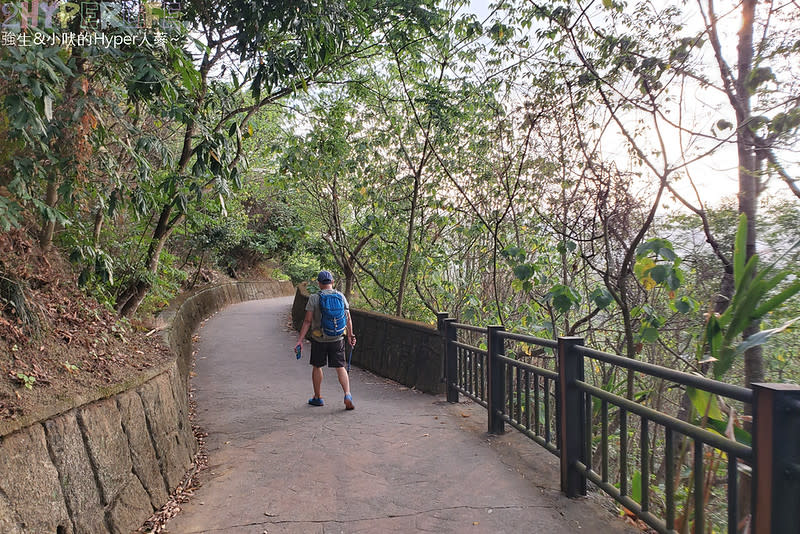 台中大坑六號七號登山步道