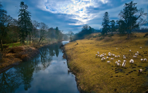 A view of the River Till - Credit: getty