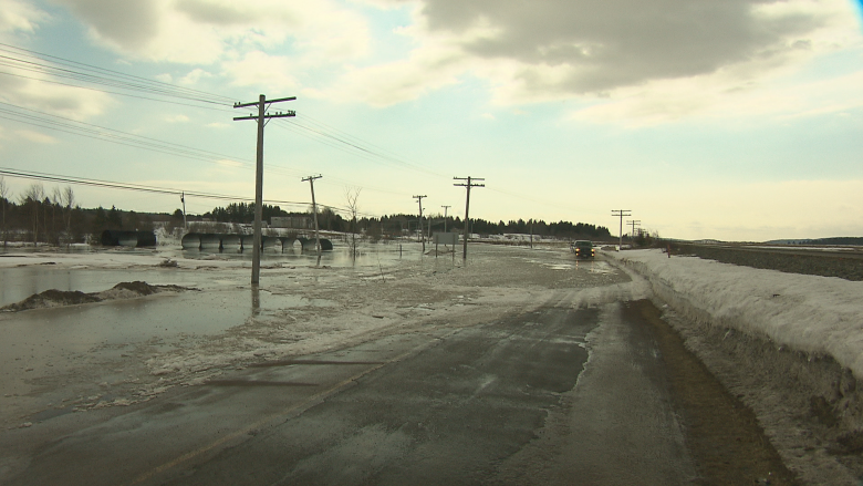 No 'quick fixes' coming for flooded highway, province says