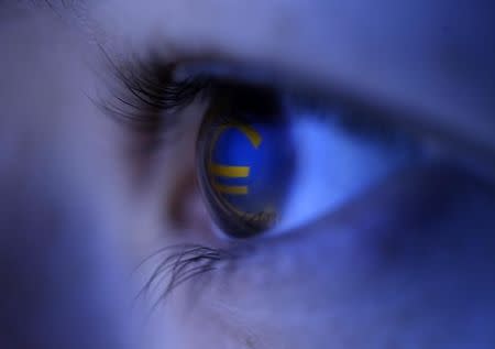 A picture illustration shows the Euro currency logo reflected in a person's eye, in central Bosnian town of Zenica, March 13, 2015. REUTERS/Dado Ruvic