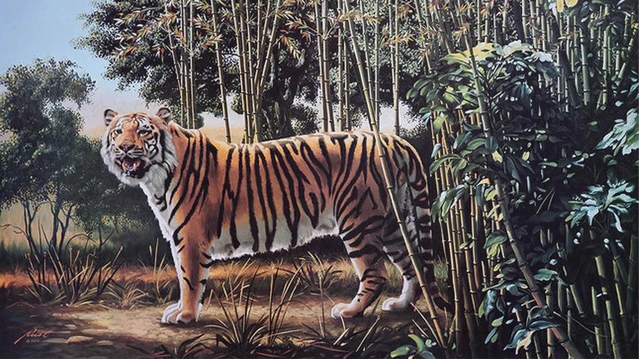  Hidden tiger optical illusions. 