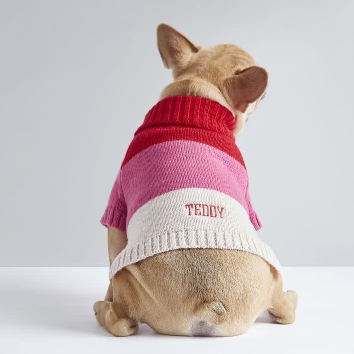 10) Knit Dog Sweater