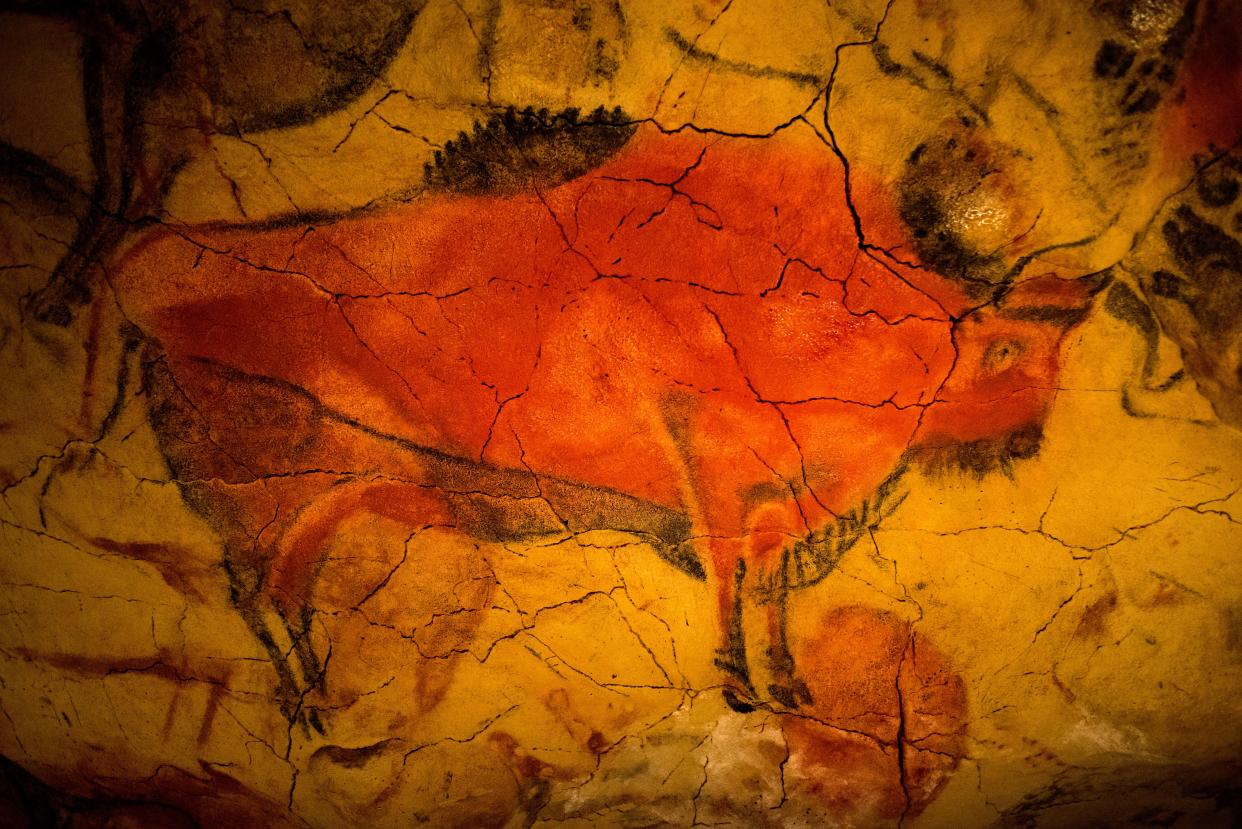 Pintura de bisontes en las cuevas de Altamira, Santander, Cantabria, España. (Foto de: Sergi Reboredo/VW Pics/Universal Images Group vía Getty Images)