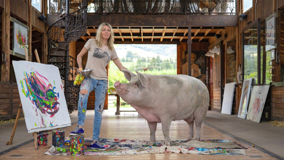 Pigcasso und Lefson im Museum auf dem Gnadenhof. (Bild: Caters News)