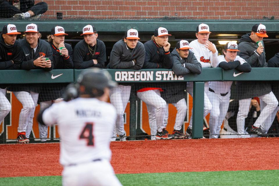 The Oregon State baseball team watches their teammate Dallas Macias (4) at bat during an NCAA college baseball game at Goss Stadium on Friday, April 26, 2024, in Corvallis, Ore.