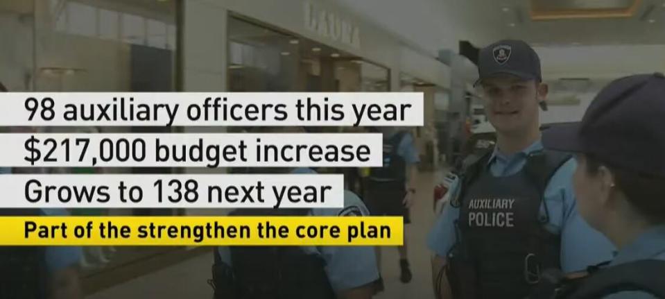WPS budget breakdown related to auxiliary officers in 2024.