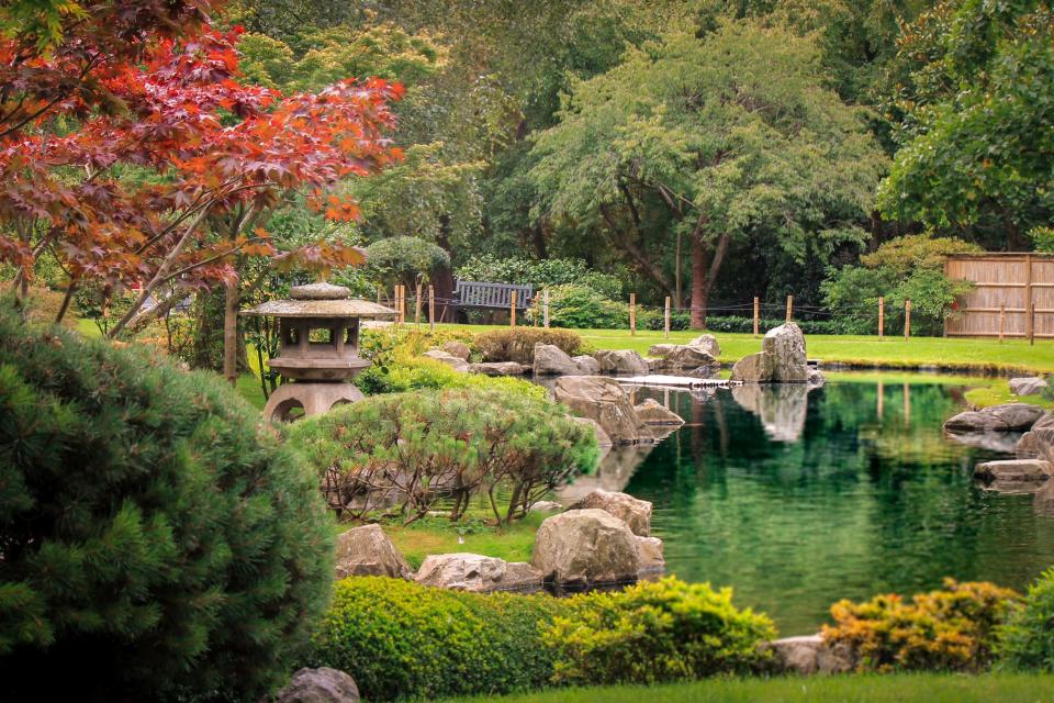 Holland Park's Kyoto Garden - getty