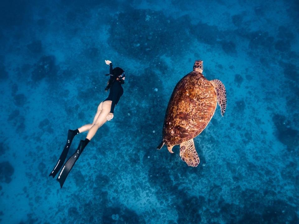 謎卡和巨大的海龜同游，親近海洋生態讓她更希望能保護這脆弱的藍色世界。