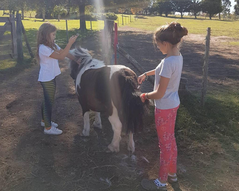 <p>En otros posteos, además, mostró a una de sus hijas con una amiga en un día de campo junto a sus caballos. Cubero no aparece en ninguna foto reciente. <em>Foto: Instagram.com/nikicubero</em> </p>