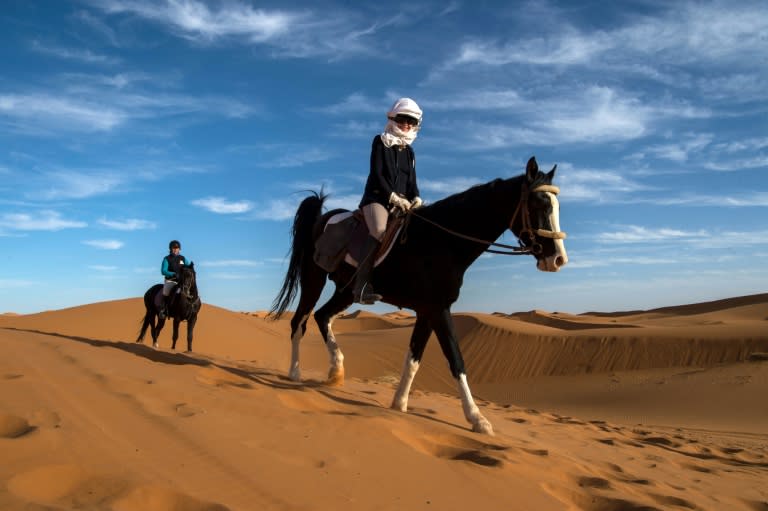 Competitors ride Barb stallions during the "Gallops of Morocco" equestrian race near Erfoud in the southern Moroccan Sahara desert on March 2, 2018