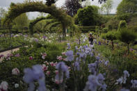 A gardener works in the Japanese-inspired water garden of Claude Monet's house, French impressionist painter who lived from 1883 to 1926, ahead of the re-opening, in Giverny, west of Paris, Monday May 17, 2021. Lucky visitors who'll be allowed back into Claude Monet's house and gardens for the first time in over six months from Wednesday will be treated to a riot of color, with tulips, peonies, forget-me-nots and an array of other flowers all competing for attention. (AP Photo/Francois Mori)