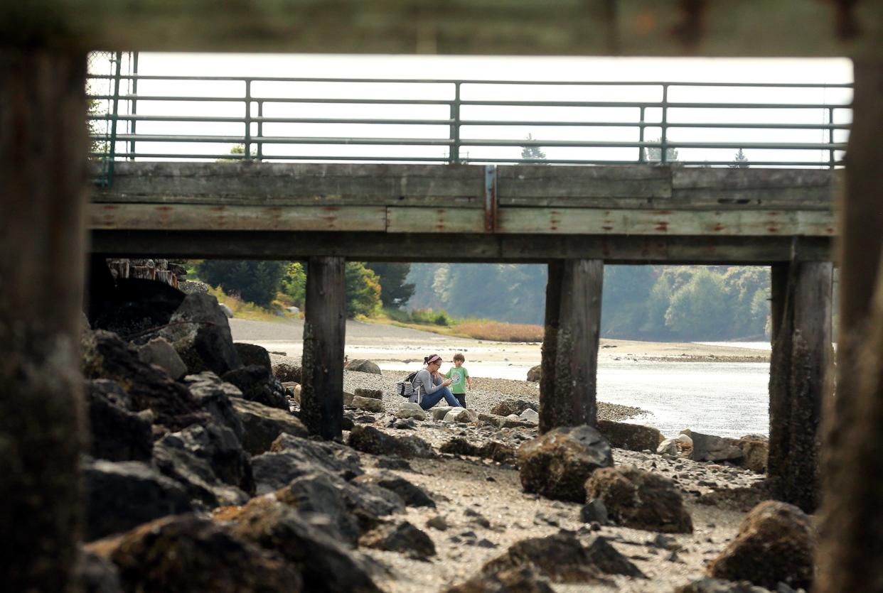 Morgan Adams, of Bremerton, and her son Bryce, 3, are framed by the creosote pilings of the old coal dock as they hang out on the shore of Bremerton’s Lions Park on Thursday. The dock, which causes environmental harm to the shoreline, could be removed soon thanks to a partnership through a mitigation bank.