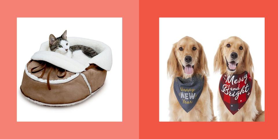 43 Adorable Pet Gifts to Give Your Furry Companion This Christmas