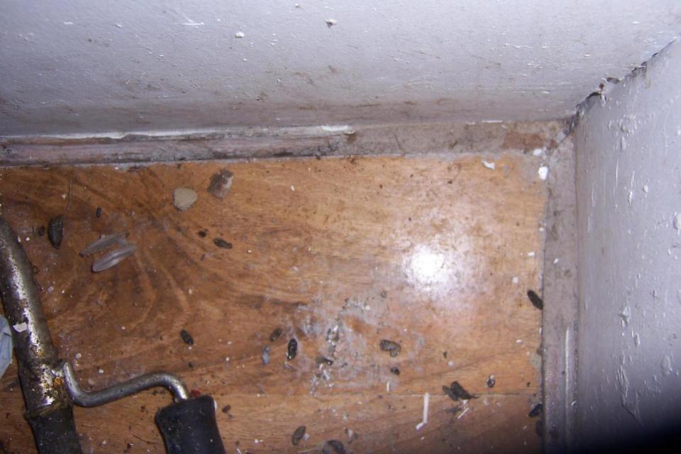 The inspection uncovered evidence of a significant rat problem (Southwark Council)