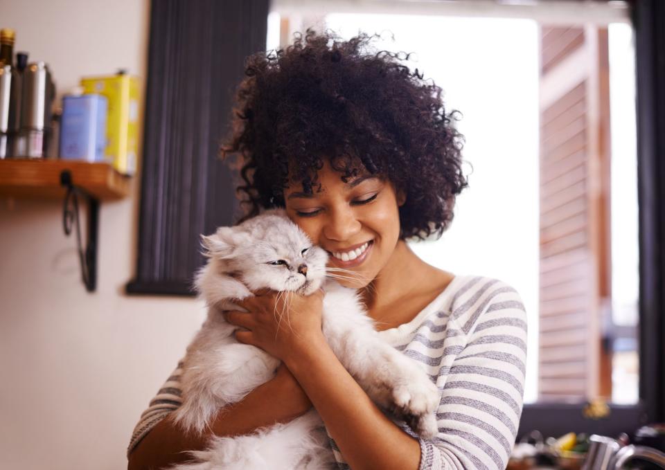 12 Affectionate Cat Breeds That Are Basically Dogs
