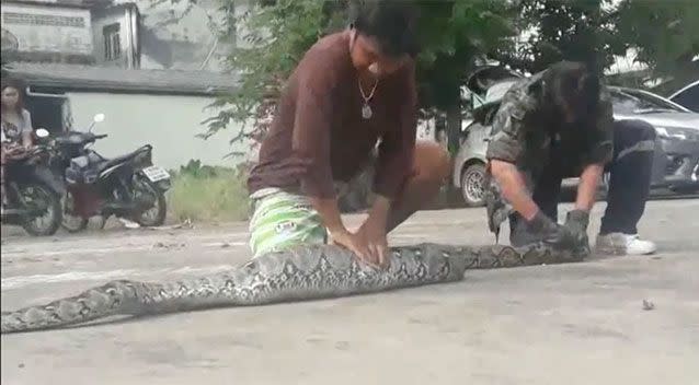 Disturbing footage shows rescue workers forcing the snake to regurgitate its last meal. Source: Newsflare