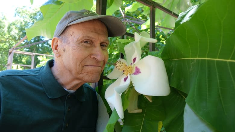 Steel magnolia: Florida native thriving in Ottawa man's garden