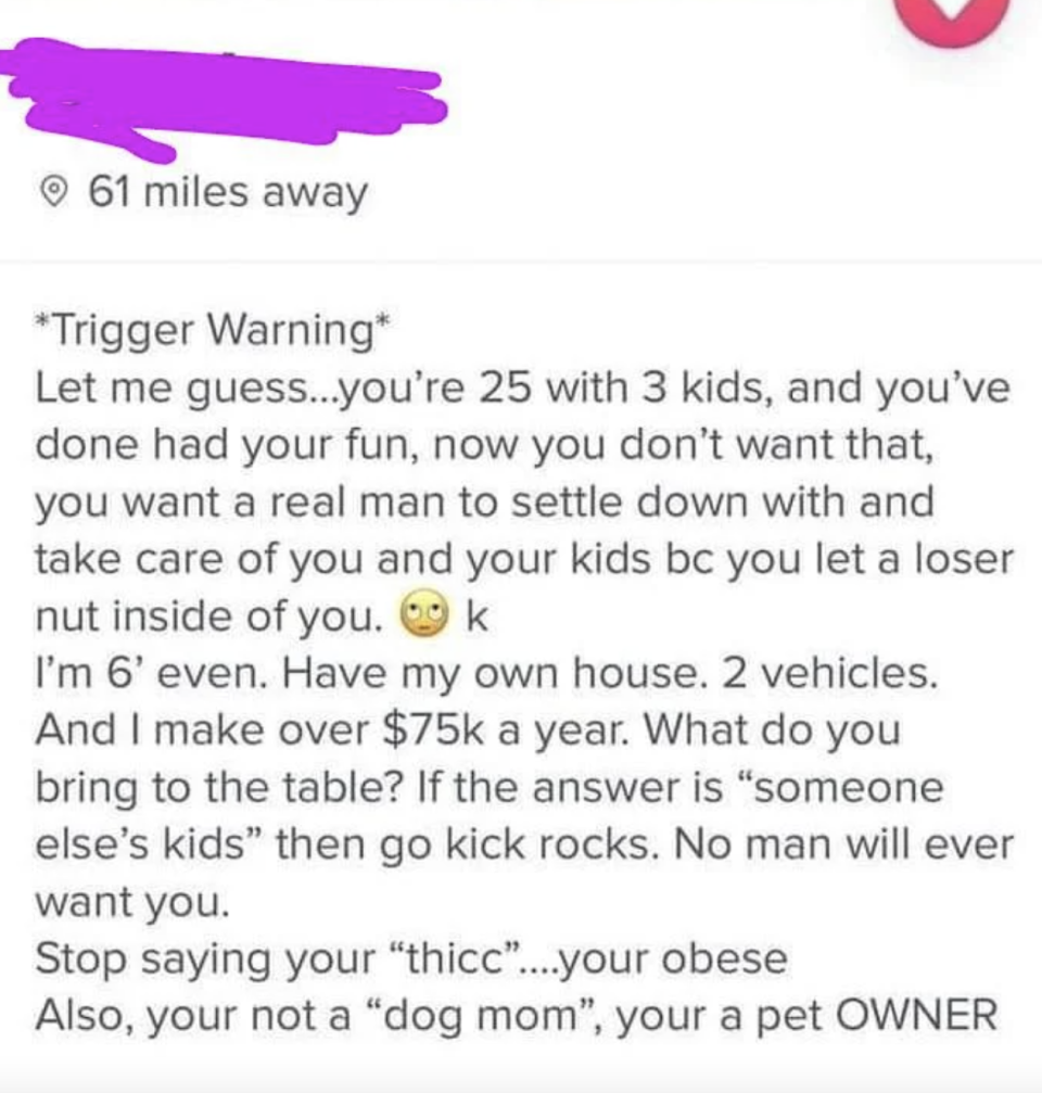 Dating profile that reads: "Stop saying your 'thicc'...your obese"