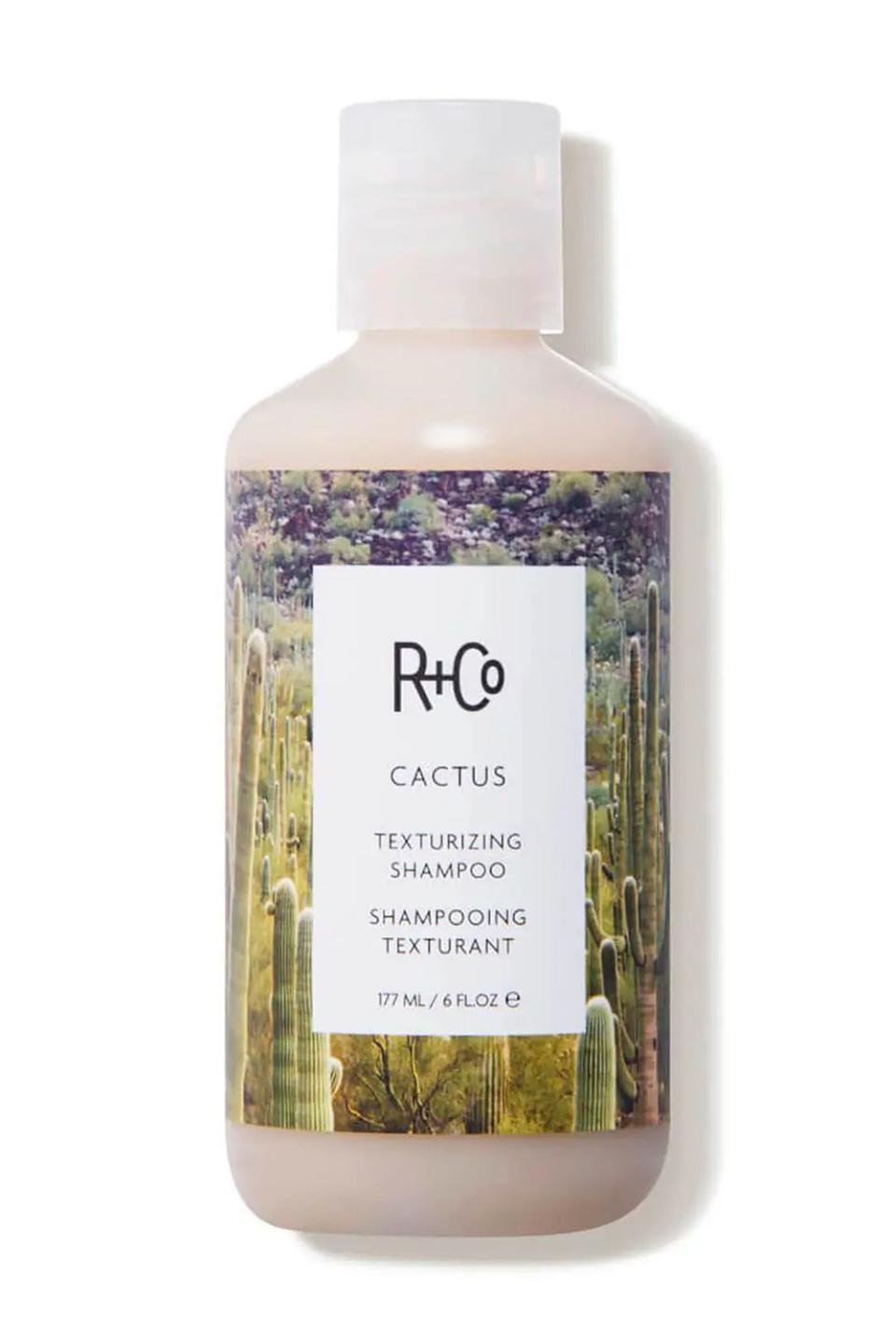 16) R+Co Cactus Texturizing Shampoo