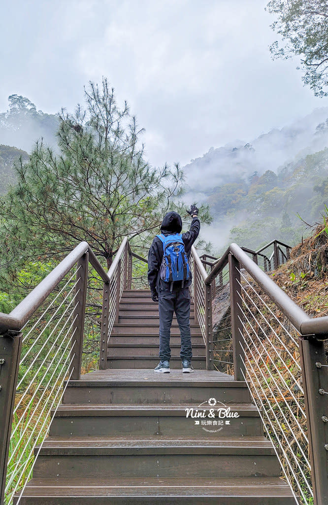 台中｜八仙山國家森林遊樂區