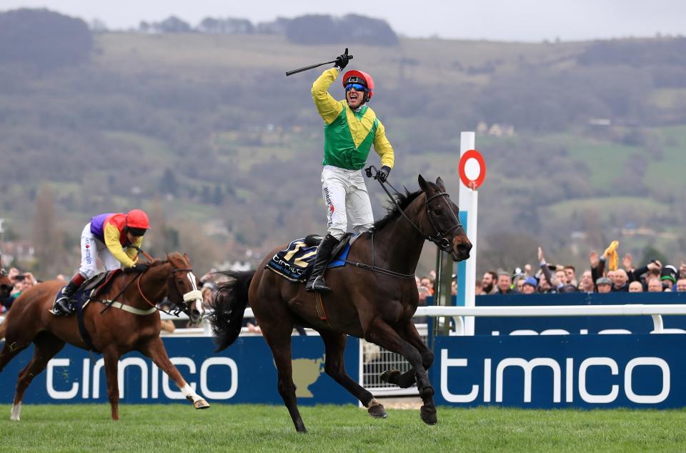 Sizing John will miss his defence of the featured Gold Cup at next week’s Cheltenham Festival