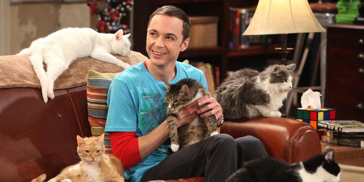 jim parsons as sheldon in a scene from the big bang theory, surrounded by five cats