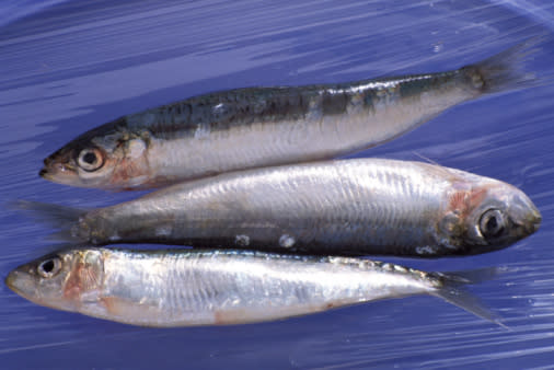 Les omégas 3 et les acides gras sont présents dans les aliments comme les sardines, le saumon, le maquereau ou les noisettes. Ils préservent la santé du cuir chevelu, ce qui évite un cuir chevelu sec et des cheveux abîmés.