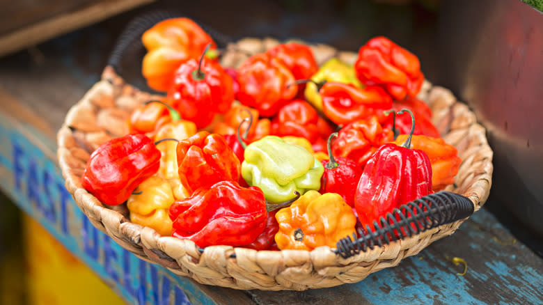 bowl of scotch bonnet peppers