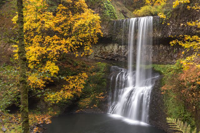 Wayne Ng/500px/Getty Images