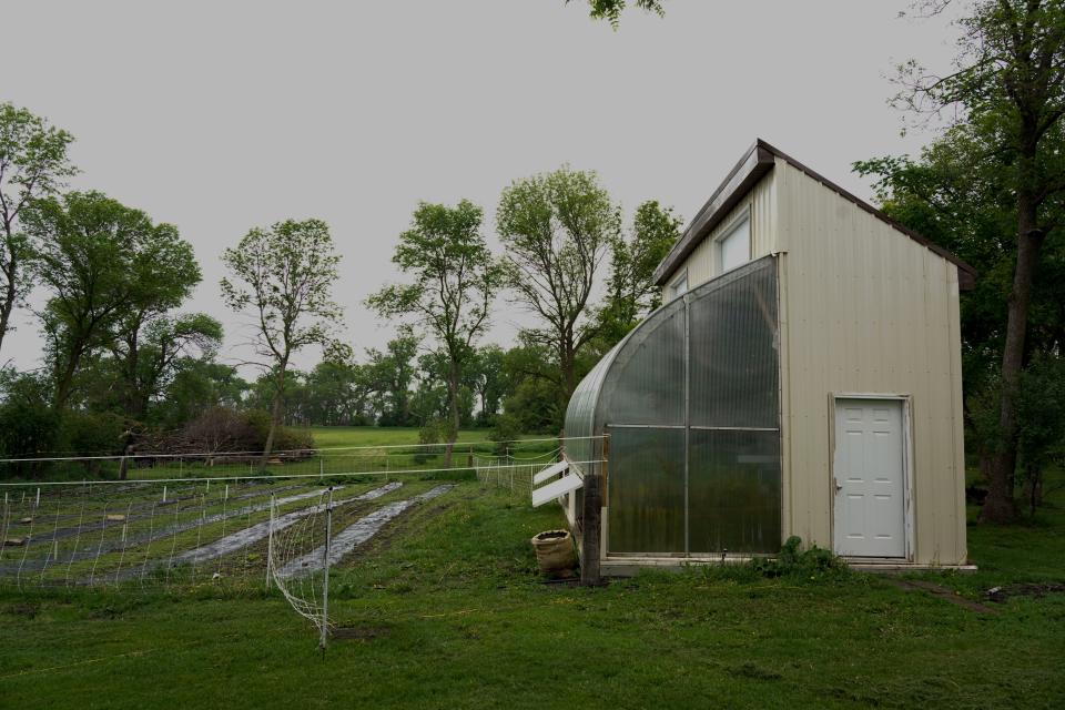 The greenhouse where Nick Curry sources his peppers and other produce for Halogi Hot Sauce at Wayward Springs Acres in Aurora, South Dakota.