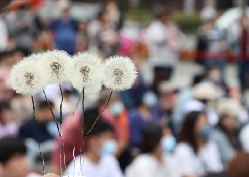 112年底發生新北國中生命案，加害方是三級輔導個案，是高關懷生。有教師指出三級輔導制存在不少漏洞待補。圖為，民間團體「孩想陪你長大」3月16日下午在台北中正紀念堂廣場為新北國中生命案死者舉辦追思音樂會，現場 大批民眾參與，也準備了蒲公英緬懷受害學生。（中央社資料照）