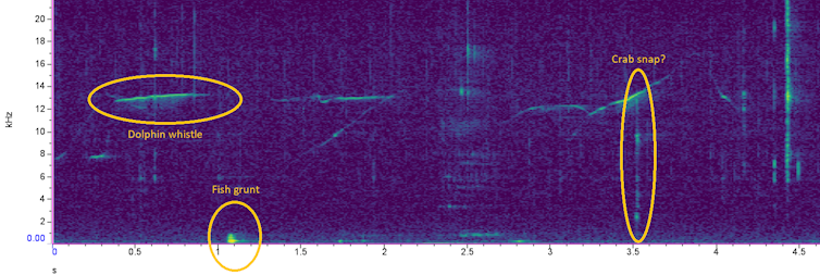 Purple graph with orange lines to indicate sound waves