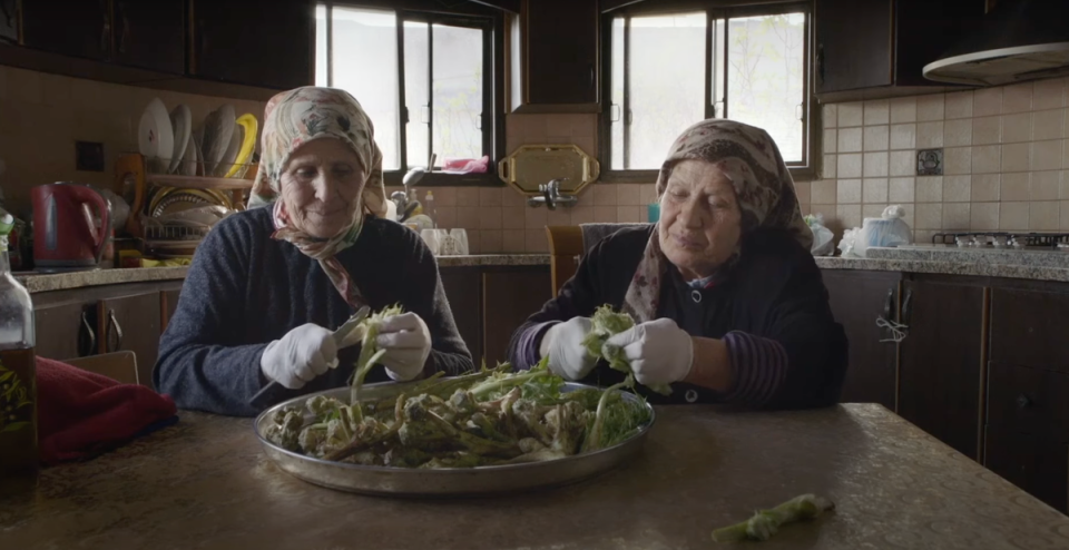 Jumana Manna’s film ‘Foragers’ explores the Palestinian practice of foraging wild plants. (Jumana Manna)