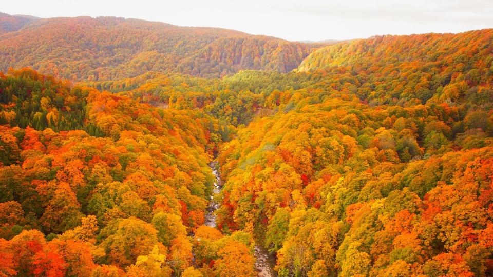 best fall picture of hills with colorful foliage