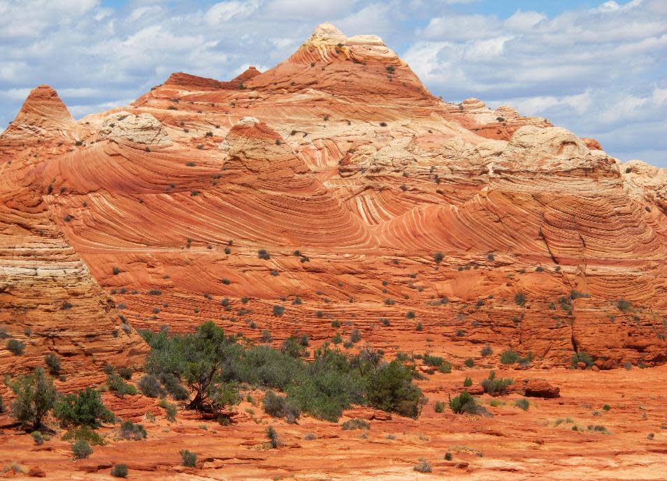 This May 28, 2013 photo shows a swirling colorful rock formation known as The Wave in the Vermilion Cliffs National Monument in Arizona. The U.S. Bureau of Land Management limits the number of permits for hikers to 20 a day in order to preserve the backcountry wilderness experience and protect the sandstone formation. (AP Photo/Brian Witte)