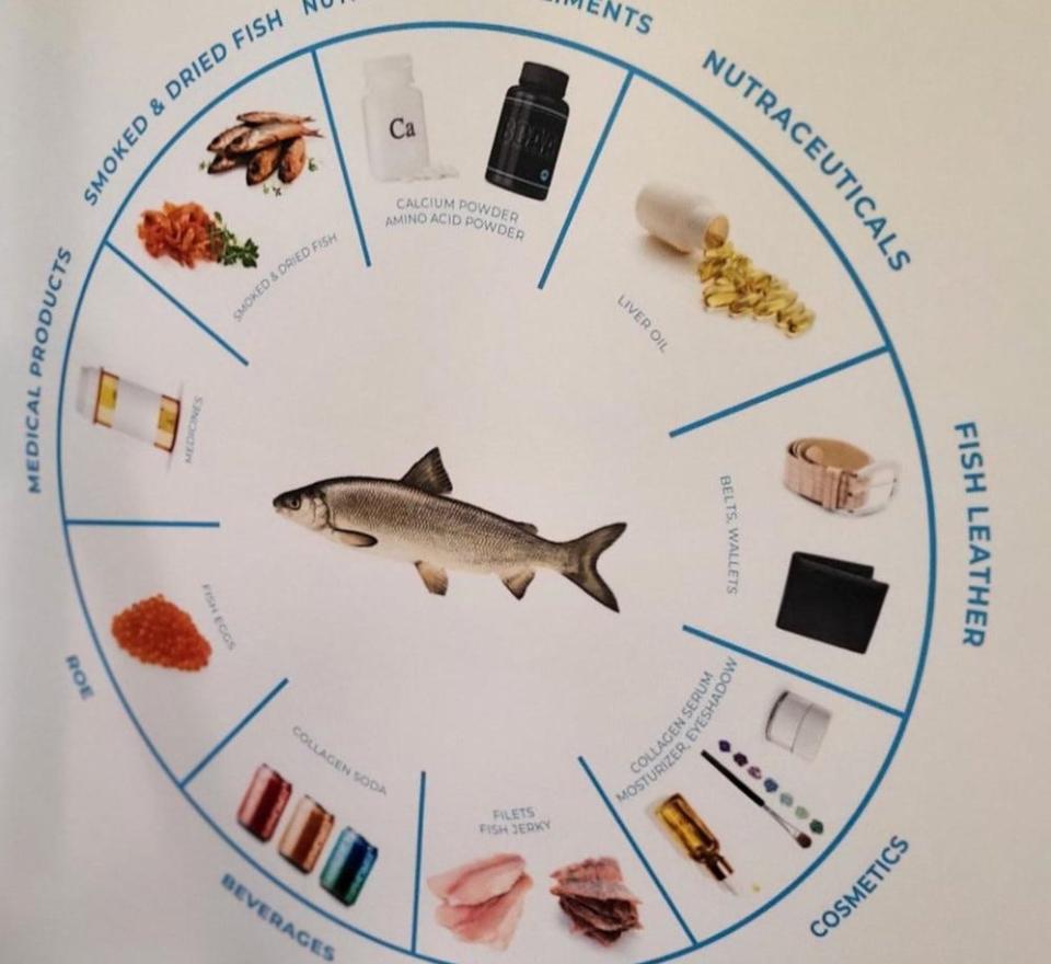 A graphic shows how many products could be made by using all of a whitefish, not just the fillets for eating. Three Door County seafood companies are among 15 that signed a pledge to use 100% of all fish they catch commercially on the Great Lakes by 2025.