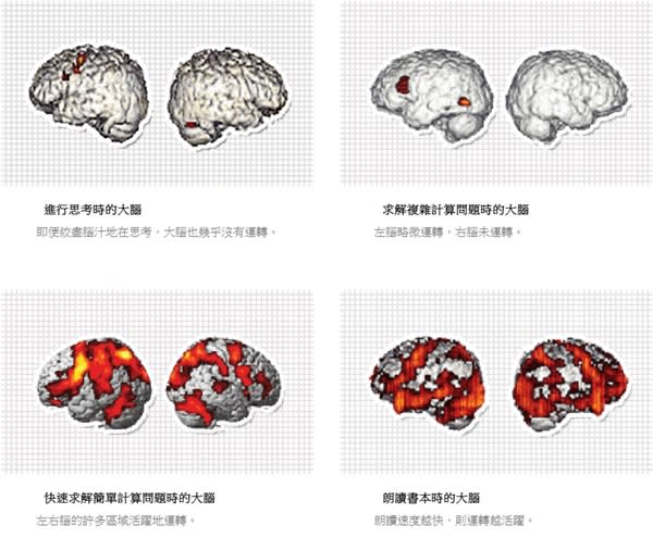 switch最新熱夯遊戲【大人的腦部鍛鍊】