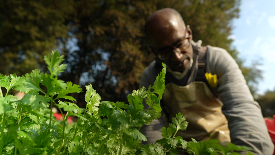 Farmer Elango Dev of Diggers' Mirth Collective Farm on Sept. 25, 2023.