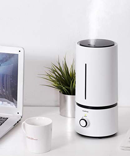 5) Raydrop Cool Mist Humidifier