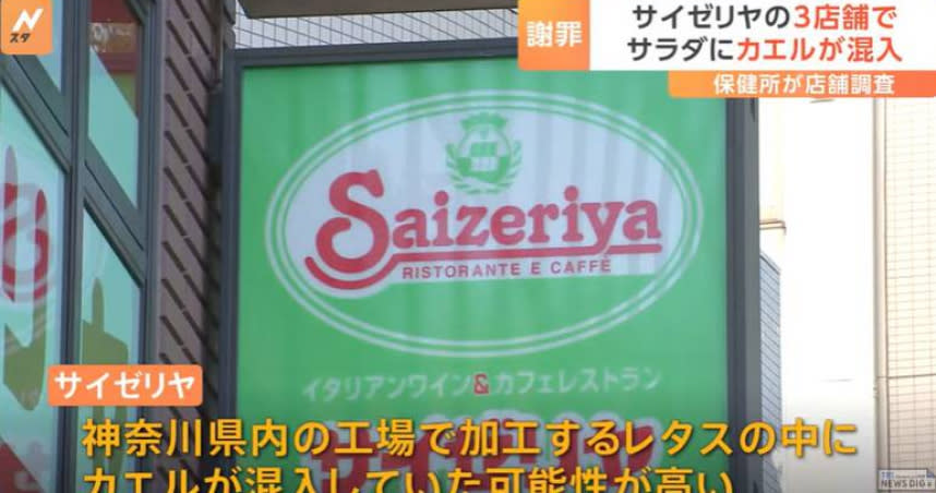 日本薩莉亞沙拉混入青蛙。（圖／翻攝自TBS NEWS DIG ）