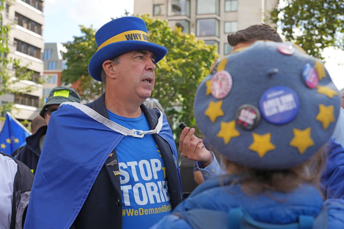 Steve Bray has conducted a long-running campaign against Brexit and the Conservative government. (Jeff Moore/PA) (PA Wire)