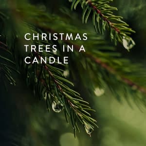 amazon-thymes-candle-christmas