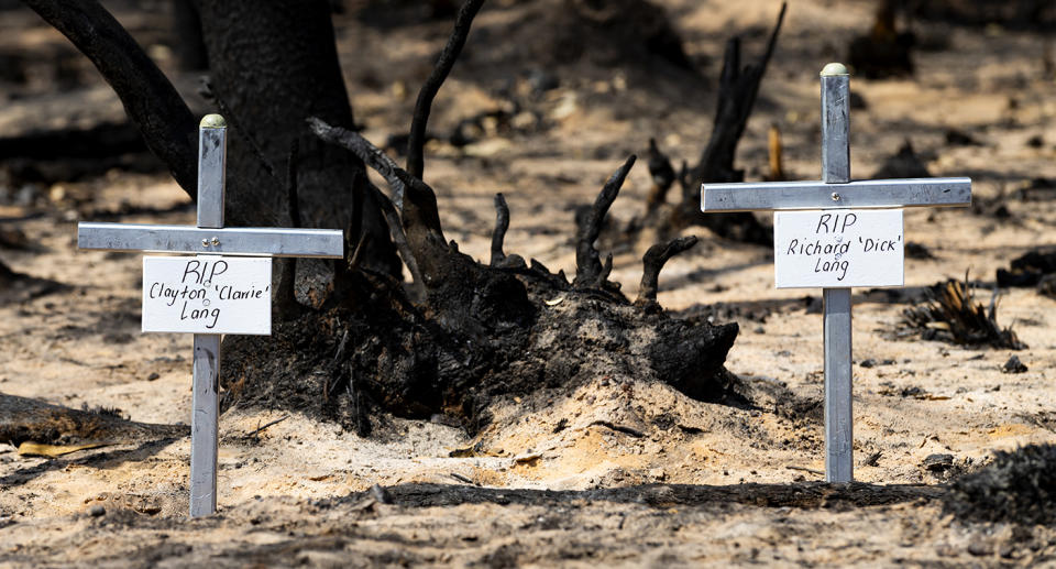 Two crosses with Clayton and Richard Lang's names on them on Kangaroo Island.